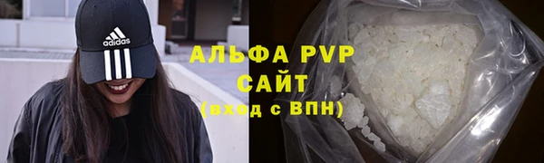 spice Алзамай