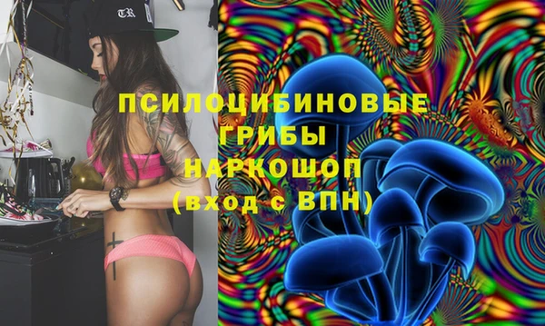 spice Алзамай
