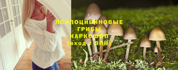 меф Алексин