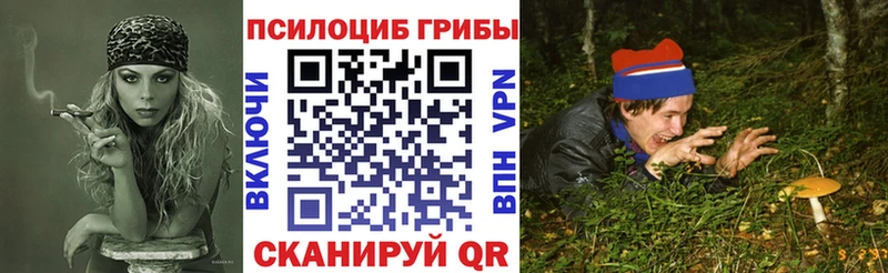 Псилоцибиновые грибы мицелий  Беслан 