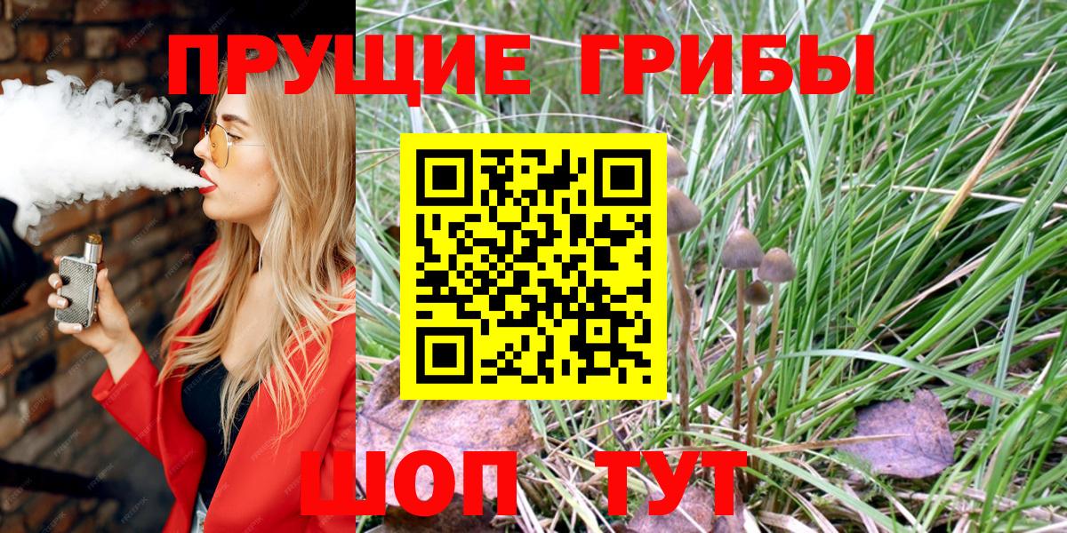 Беслан  Псилоцибиновые грибы мицелий  Вход с VPN 
